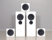 One Point 10 Home Theater Kit
